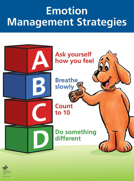Emotion Management Strategies Poster