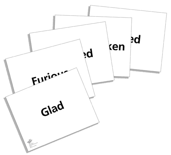 Name That Feeling! Display Cards